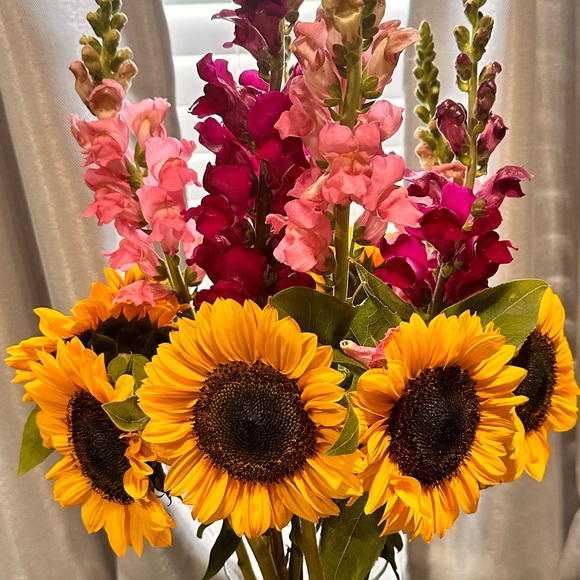 Meet your Posher, Treasuretrove - Picture 1 of 1